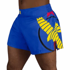 Hayabusa Icon Kickboxing Shorts(Hayabusa Icon Kickboxing Shorts) -Hayabusa Boxing Sale Icon KB Shorts BYP Main