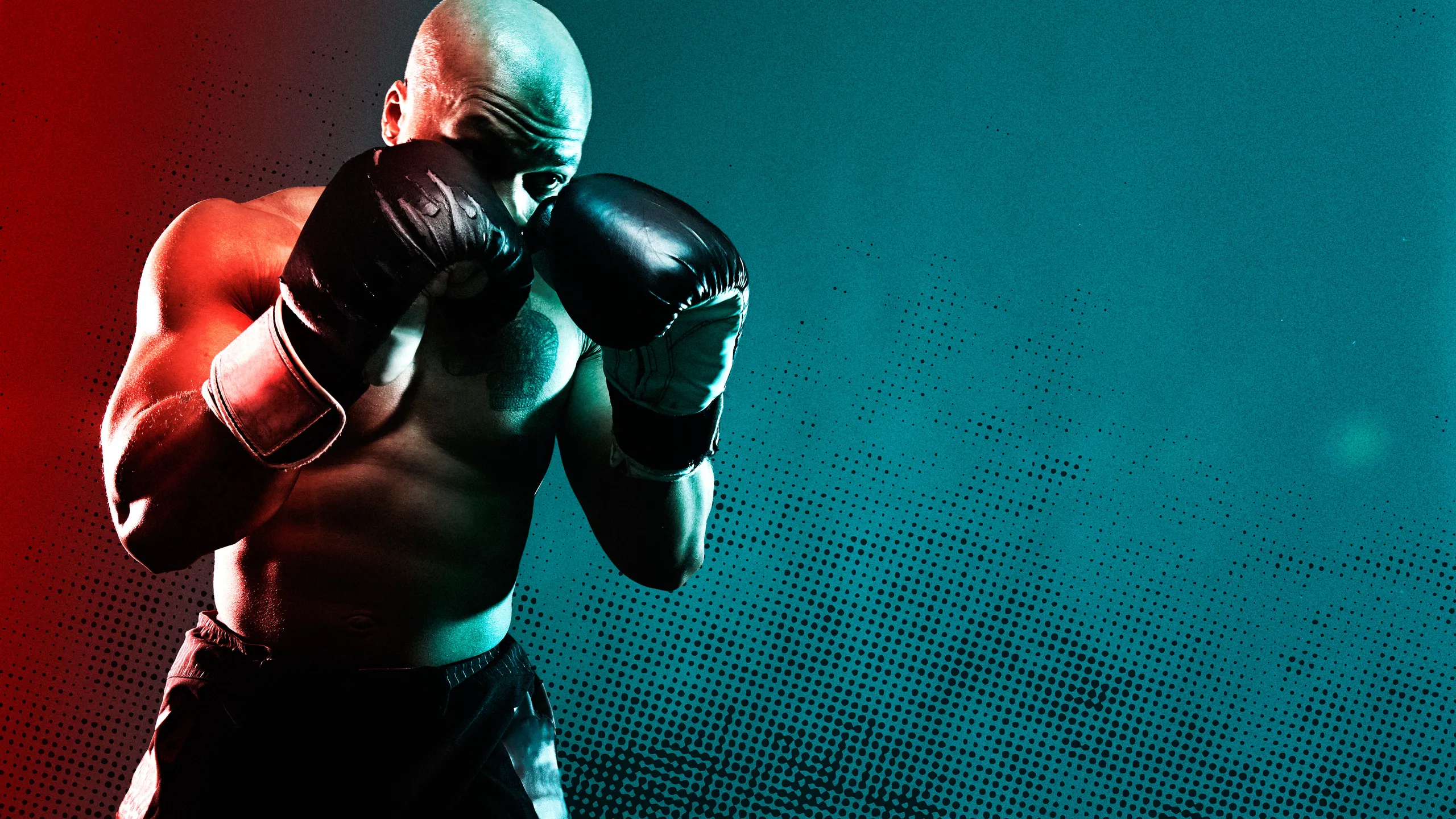 Hayabusa Boxing Sale -Hayabusa Boxing Sale gq fitness